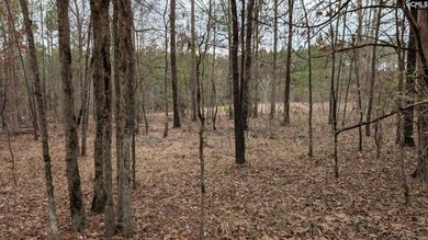 A fantastic two acre building lot located inside Lake Wateree's - photo 10