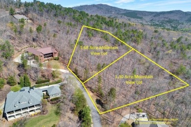 Golden Lake  Lot For Sale in Clarkesville Georgia