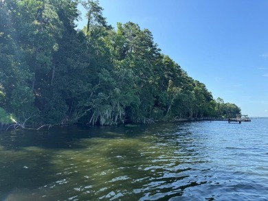 Lake Lot For Sale in Georgetown, Georgia