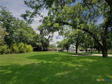 Five contiguous, level homesites-cleared and shaded by mature - photo 11
