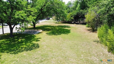 Five contiguous, level homesites-cleared and shaded by mature - photo 13