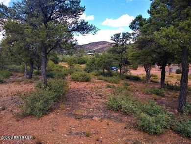 2.12 Acres - 3 wells, 1 puts out water at 7 gpm, 1 is capped - photo 21