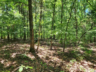  Acreage For Sale in Murray Kentucky