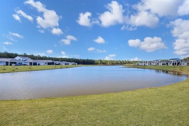 Welcome to 209 Aurora Way in Sun City Hilton Head-where the home - photo 22