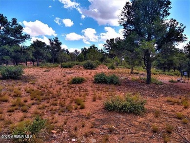 2.12 Acres - 3 wells, 1 puts out water at 7 gpm, 1 is capped - photo 23