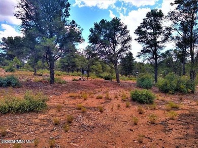 2.12 Acres - 3 wells, 1 puts out water at 7 gpm, 1 is capped - photo 24