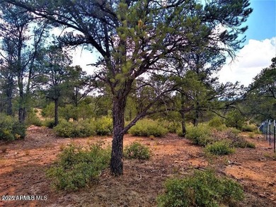 2.12 Acres - 3 wells, 1 puts out water at 7 gpm, 1 is capped - photo 25