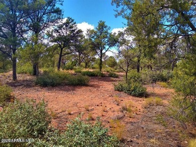 2.12 Acres - 3 wells, 1 puts out water at 7 gpm, 1 is capped - photo 27