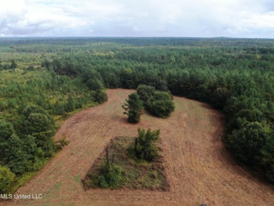 Lake Acreage For Sale in Holly Springs, Mississippi