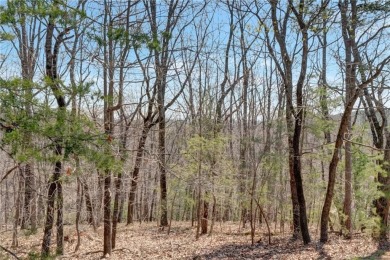 Golden Lake  Lot For Sale in Clarkesville Georgia