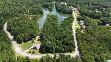 Lake Lot For Sale in Chelsea, Alabama