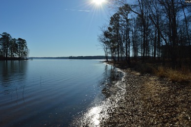 Great main channel views from this 1.1 acre waterfront lot SOLD - photo 3