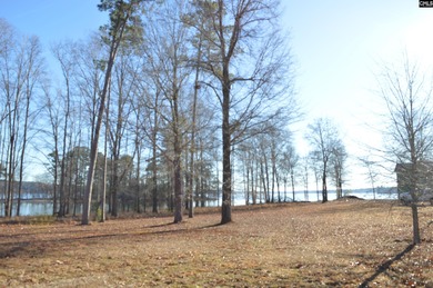 Great main channel views from this 1.1 acre waterfront lot SOLD - photo 6