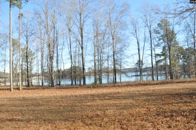 Great main channel views from this 1.1 acre waterfront lot SOLD - photo 7