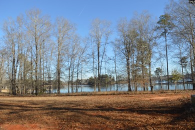 Great main channel views from this 1.1 acre waterfront lot SOLD - photo 9