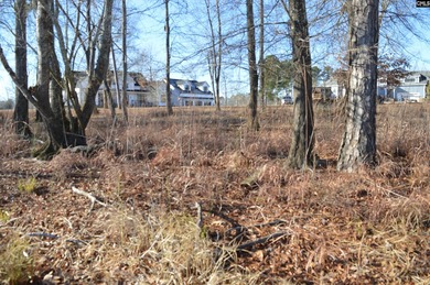 Great main channel views from this 1.1 acre waterfront lot SOLD - photo 10