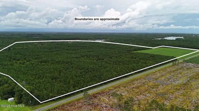 Neuse River Acreage Sale Pending in Oriental North Carolina