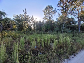 Lake Weir Lot For Sale in Belleview Florida