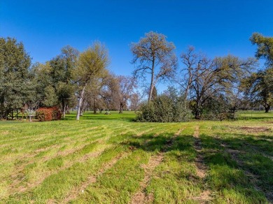 Rare opportunity to build in (South) Wooded Acres! This is the - photo 4