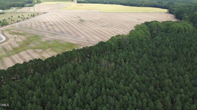 (private lake, pond, coastal) Acreage Sale Pending in Bunnlevel North Carolina