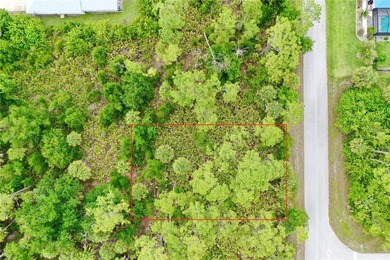 Build your ideal Florida home on this premium lot located at - photo 3