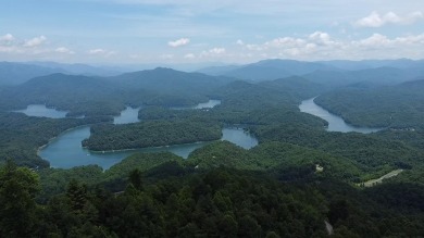 Lake Lot For Sale in Almond, North Carolina