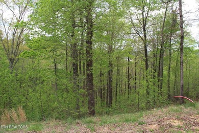 This flat lot 546 in Clearwater Cove on Norris Lake is perfect - photo 2