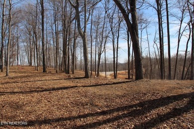 This flat lot 546 in Clearwater Cove on Norris Lake is perfect - photo 3