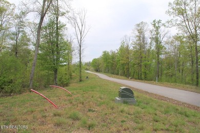 This flat lot 546 in Clearwater Cove on Norris Lake is perfect - photo 4