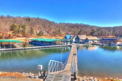 This flat lot 546 in Clearwater Cove on Norris Lake is perfect - photo 9