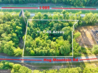 Lake Lanier Commercial For Sale in Flowery Branch Georgia