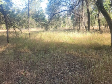Located across the creek from Tierra Oaks, this level two acre - photo 1