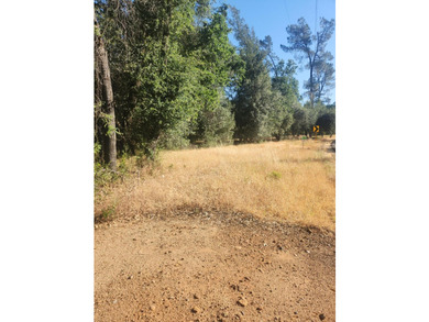 Located across the creek from Tierra Oaks, this level two acre - photo 2