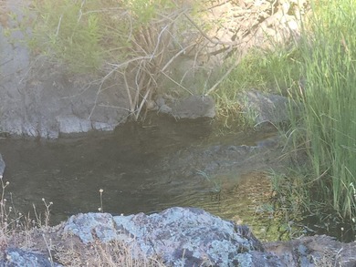 Located across the creek from Tierra Oaks, this level two acre - photo 8