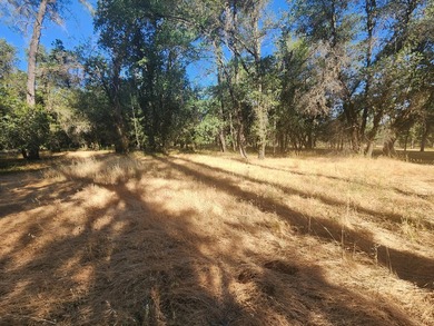 Located across the creek from Tierra Oaks, this level two acre - photo 9
