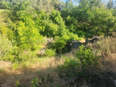 Located across the creek from Tierra Oaks, this level two acre - photo 10