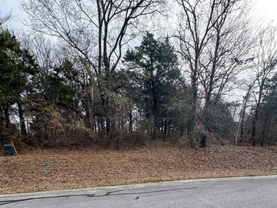 Lake Texoma Lot For Sale in Gordonville Texas