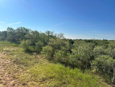 (private lake, pond, coastal) Acreage For Sale in Matador Texas