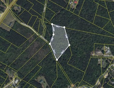Lake Marion Acreage For Sale in Cross South Carolina
