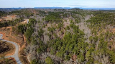 Lake Acreage For Sale in Talking Rock, Georgia