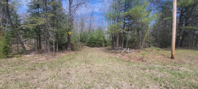 Kennebec River - Kennebec County Acreage For Sale in Benton Maine