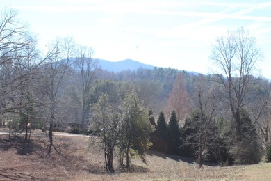 Charming Brick Ranch on 2.4 Acres with Mountain, pasture and - photo 12