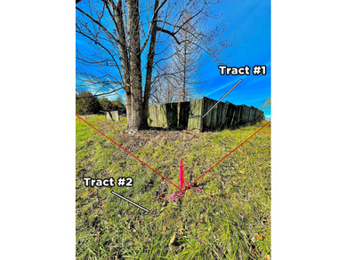 A 21.58 Acre property in Pulaski County with HUGE Potential! - photo 13