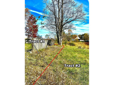 A 21.58 Acre property in Pulaski County with HUGE Potential! - photo 14