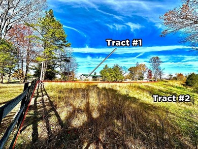 A 21.58 Acre property in Pulaski County with HUGE Potential! - photo 15