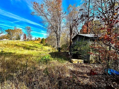 A 21.58 Acre property in Pulaski County with HUGE Potential! - photo 16