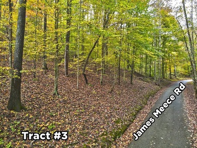 A 21.58 Acre property in Pulaski County with HUGE Potential! - photo 19