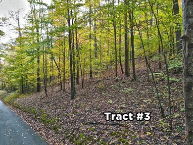 A 21.58 Acre property in Pulaski County with HUGE Potential! - photo 20