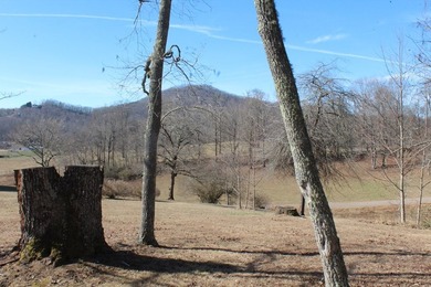 Charming Brick Ranch on 2.4 Acres with Mountain, pasture and - photo 21