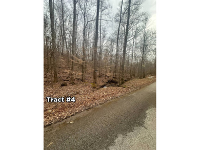 A 21.58 Acre property in Pulaski County with HUGE Potential! - photo 23